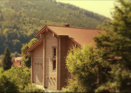 Holzblockhaus Am Heidenberg 4